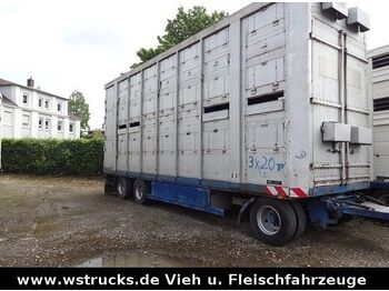 Menke-Janzen Menke 2 Stock Spindel Viehanhänger  - Tiertransporter Anhänger