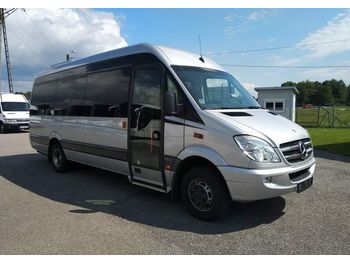Kleinbus MERCEDES-BENZ Sprinter 519 CDI 21 MIEJSC