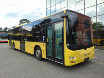 MAN LION'S CITY A37 - Linienbus