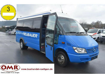 Kleinbus, Personentransporter Mercedes-Benz 416 CDI Sprinter/Crafter/Transit/Ducato: das Bild 1