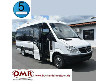 Kleinbus, Personentransporter Mercedes-Benz 516 CDI Sprinter/Crafter/Master/Klima/Euro 5: das Bild 1