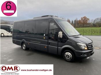 Kleinbus, Personentransporter Mercedes-Benz Sprinter 519/ Spirit GT/ Transfer/ Daily: das Bild 1
