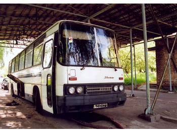 IKARUS 250.59 - Reisebus