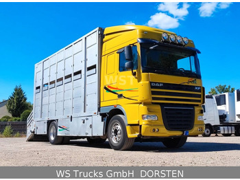 Gebrauchte LKW DAF Euro 5, Diesel, 2-Achse, Klimaanlage aus Düsseldorf,  Köln, Dortmund, Essen, Duisburg kaufen – Truck1 Schweiz