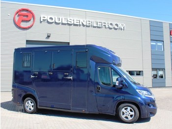 Tiertransporter LKW Fiat Ducato Horsetruck: das Bild 1