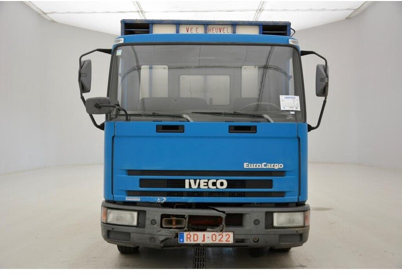 Tiertransporter LKW Iveco 65E14: das Bild 2