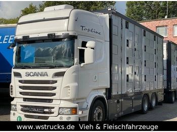 Tiertransporter LKW Scania R 560 Topline Menke 4 Stock Hubdach: das Bild 1