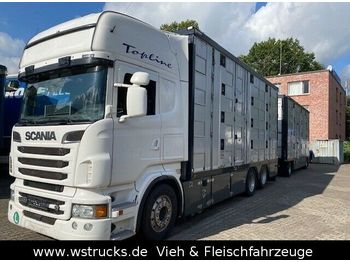 Tiertransporter LKW Scania R 560 Topline Menke 4 Stock Hubdach Komplett: das Bild 1