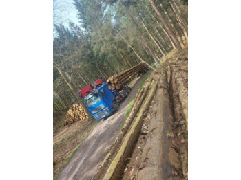 VOLVO FH16 700 6×4 - Holztransporter: das Bild 1