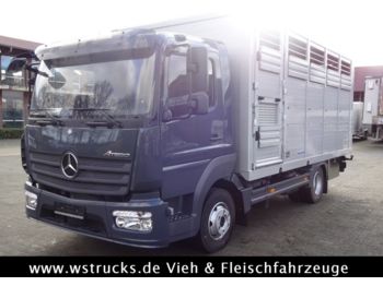Koffer Transporter Für die Beförderung von Tiere Mercedes-Benz 821L" Neu" WST Edition" Menke Einstock Vollalu: das Bild 1