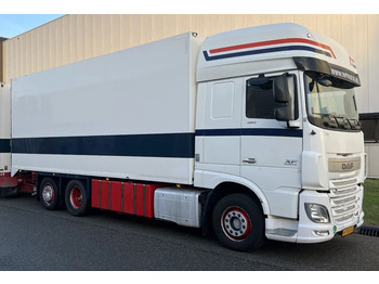 DAF XF 460 Kühlkoffer LKW