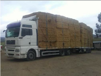 MAN TGA Pritsche LKW