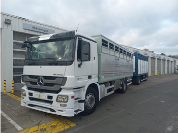 MERCEDES-BENZ Actros Tiertransporter LKW