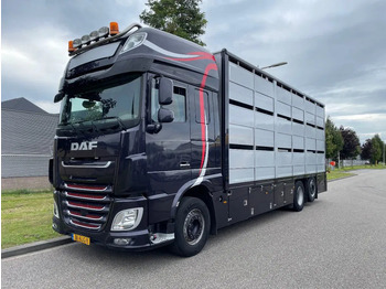 DAF XF 460 Tiertransporter LKW