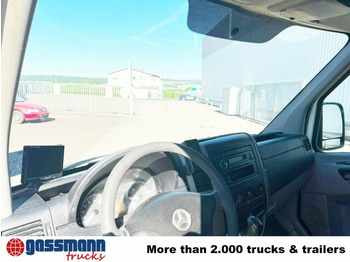 Pritsche Transporter, Transporter mit Doppelkabine Mercedes-Benz Sprinter 209 CDI 4x2 Doka: das Bild 2