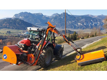 Schlegelmäher/ Mulcher