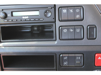 Sattelzugmaschine Daf XF  480 SC  Retarder ACC LDWS Standklima Kühlbox: das Bild 5