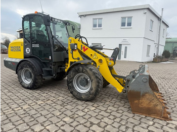 Radlader Wacker WL 70, Bj 21, 1625 BH, 122 PS, Schaufel Gabel: das Bild 4