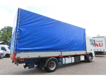 Plane LKW DAF XF 95.430 Manual diesel injection! Manual gearbox!: das Bild 5