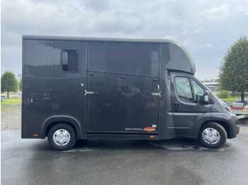 FIAT Pferdetransporter