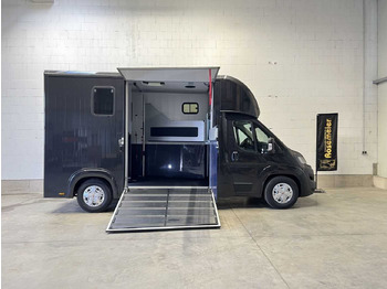 FIAT Pferdetransporter