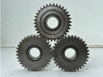 LIEBHERR Schwenkmotor
