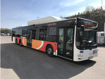 MAN Lion's City A26 Linienbus