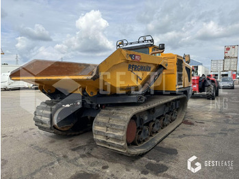 Raupendumper Bergmann C912S: das Bild 3