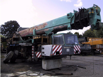 TEREX Mobilkran