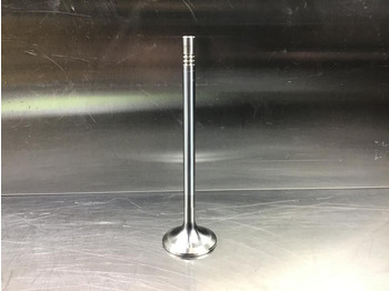 LIEBHERR Motor und Teile