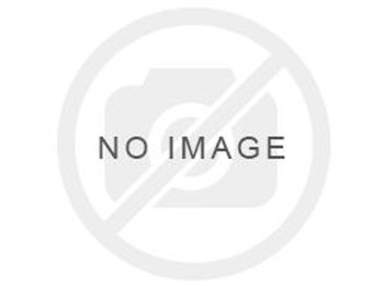 LIEBHERR Motor und Teile