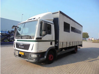 MAN TGL 10.180 Koffer LKW