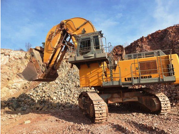 LIEBHERR Kettenbagger