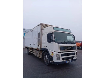 Kühlkoffer LKW Volvo FM 260: das Bild 2