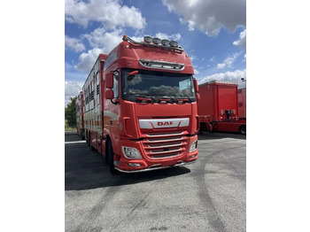 DAF XF 460 Tiertransporter LKW