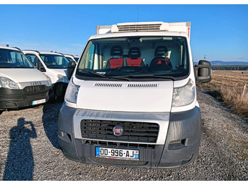 Kühltransporter Fiat DUCATO: das Bild 2