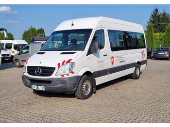 MERCEDES-BENZ Sprinter 513 Kleinbus