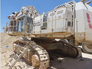 Kettenbagger Liebherr R9150: das Bild 3