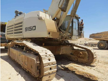 Kettenbagger Liebherr R9150: das Bild 5