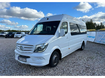 Kleinbus, Personentransporter Mercedes-Benz Sprinter 519: das Bild 5