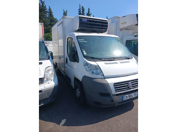 FIAT Ducato Kühltransporter