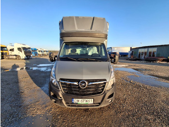 Koffer Transporter OPEL MOVANO KONTENER: das Bild 2
