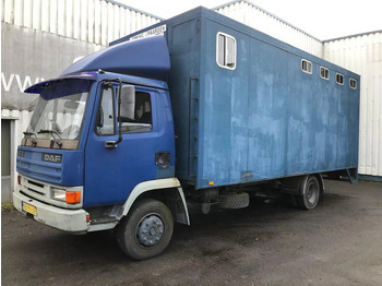 DAF 45 150 Koffer LKW