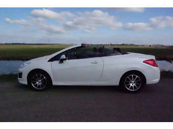 PKW Peugeot 308 CC: das Bild 2