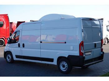 Kühltransporter Fiat DUCATO / CHŁODNIA / MUTLITEMPERATURA / 2X AGREGA: das Bild 3
