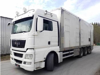 MAN TGX Tiertransporter LKW