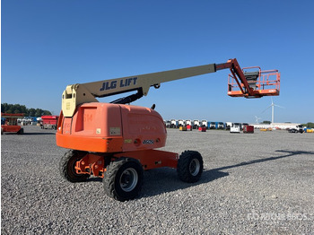 Schlegelmäher/ Mulcher