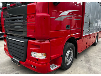 Tiertransporter LKW DAF XF 105.460 Euro 5 // Manual // Retarder // Do Żywca / Bydła / Zwierząt /: das Bild 4