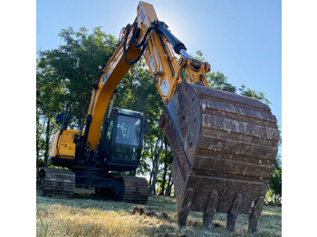 JCB Bagger