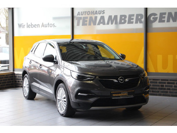 SUV/ Geländewagen, Zustand - NEU Opel Grandland X Innovation AT-8 Navi Kamera LED AHK: das Bild 2